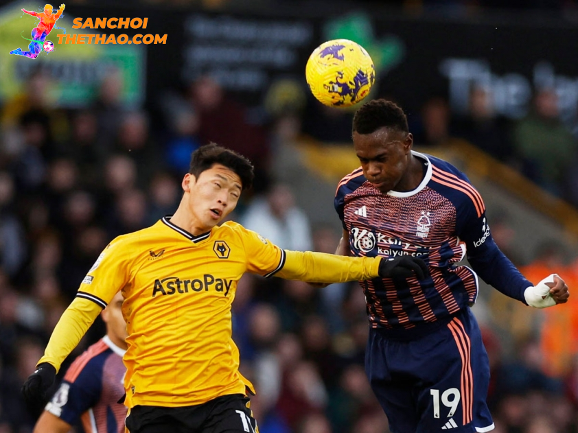 Phân Tích Trận Đấu Wolves vs Nottingham Forest: Cuộc Chiến Không Thể Bỏ Lỡ Lúc 03h00 Ngày 07/01/2025